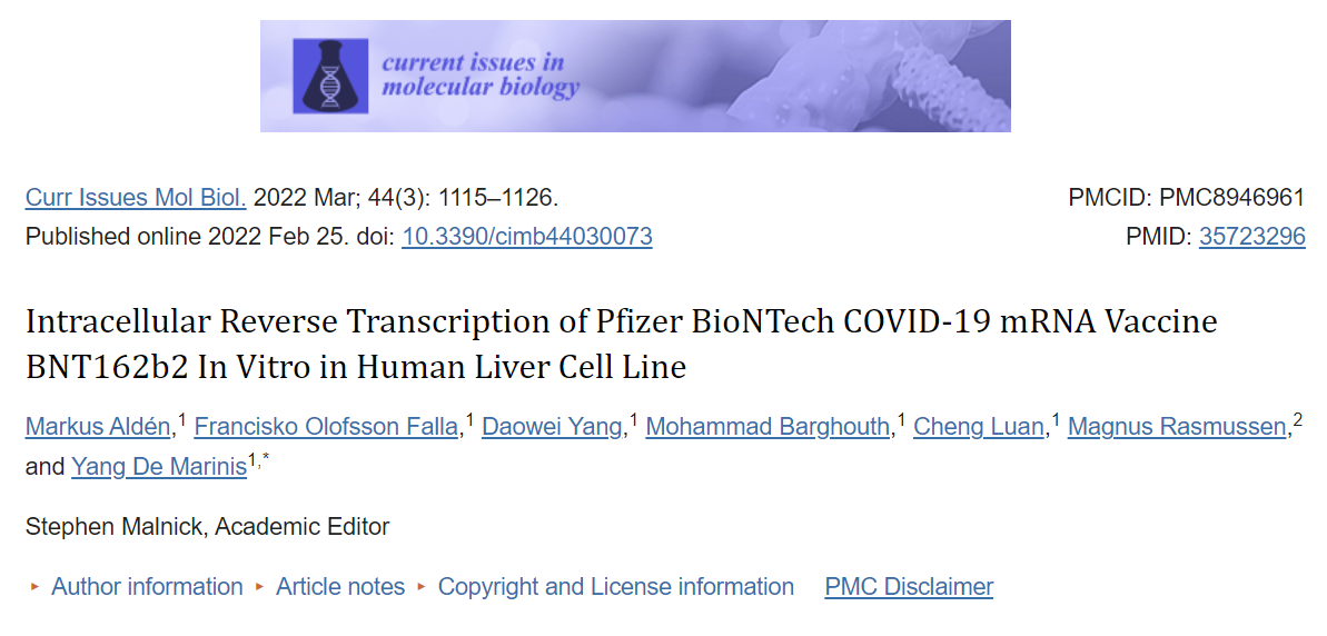 Forskning: Intracellular Reverse Transcription of Pfizer BioNTech COVID-19 mRNA Vaccine BNT162b2 In Vitro in Human Liver Cell Line